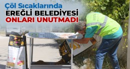 Ereğli Belediyesi Sokak Hayvanlarının Su ve Yiyecek İhtiyacını Aksatmıyor