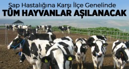 Şap Hastalığına Karşı İlçedeki Tüm Hayvanlar Aşılanacak