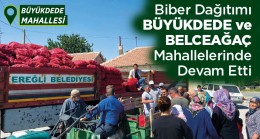 Ereğli Belediyesi Biber Dağıtımlarını Sürdürüyor