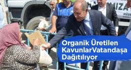 Ereğli Belediyesi Organik Tarım Ürünlerini Hemşerileriyle Paylaşıyor