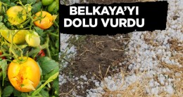 Belkaya’da Dolu Yağışı Ekili Alanlarda Hasara Neden Oldu