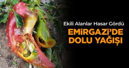 Dolu Yağışı Emirgazi’de de Etkili Oldu. Ekili Alanları Dolu Vurdu