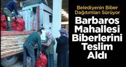Ereğli Belediyesi Biber Dağıtımını Barbaros Mahallesi İle Sürdürdü