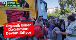 Organik Biberlerin Dağıtımı Aralıksız Sürüyor. Ereğli’de 3 Mahalle Daha Biberlerini Aldı