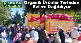 Organik Biberlerin Dağıtımı Devam Ediyor. Doğuelagözlü ve Batıelagözlü Mahallesinde Dağıtım Yapıldı