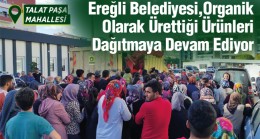 Mimar Sinan, 500 Evler ve Talatpaşa Mahallelerinde Biber Dağıtımı Yapıldı