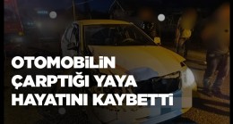 Ereğli’de Akşam Saatlerinde Üzücü Kaza: 1 Kişi Hayatını Kaybetti