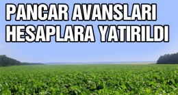 Pancar Üreticisinin Avansları Hesaplara Yattı