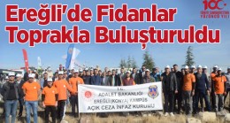 Milli Ağaçlandırma Gününde Fidanlar Toprakla Buluştu