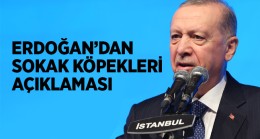 Cumhurbaşkanı Erdoğan’dan, Sokak Köpekleri İle İlgili Açıklama