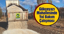 Ereğli Belediyesi Gökçeyazı Mahallesi’nde Yol Bakım ve Onarım Çalışması Gerçekleştirdi