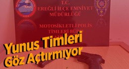 Ereğli’de Yunus Timleri Asayiş Uygulamalarını Sürdürüyor