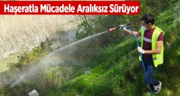 Ereğli Belediyesi Haşeratlarla Mücadelesini Başlattı