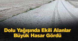 Ceviz Büyüklüğünde Dolu Yağdı. Ekili Alanlarda Büyük Hasar Var