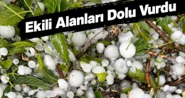 Emirgazi İlçesini Dolu Vurdu. Ekili Alanlarda Hasar Büyük