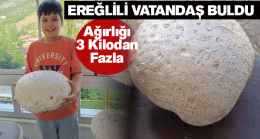 Mantar Toplamaya Gitti, Ağırlığı 3 Kilodan Fazla Mantar Buldu