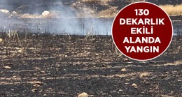 Buğday Ekili Alanda Çıkan Yangında 50 Dekar Hububat ve Sulama Sistemi Yandı