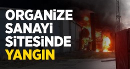 Ereğli Organize Sanayiinde Yangın. Tesiste Büyük Çapta Maddi Hasar Var