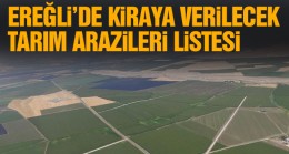 Ekilmeyen Tarım Arazileri Kiraya Verilecek. Ereğli’de Kiralanacak Taşınmalar Listesi Açıklandı