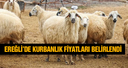 Ereğli İçin Kurbanlık Fiyatları Açıklandı. İşte Belirlenen Fiyatlar