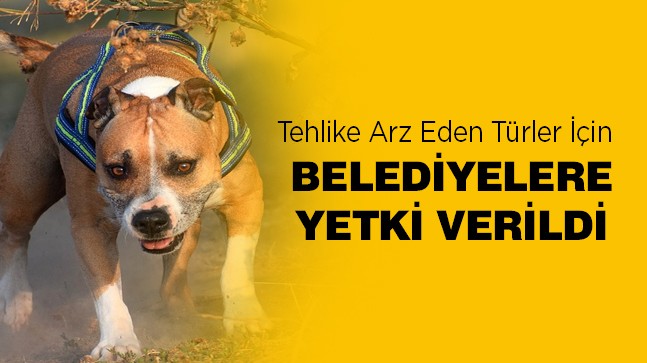 Çevre, Şehircilik ve İklim Değişikliği Bakanlığı Sahipsiz Hayvanlar İçin Genelge Yayınladı