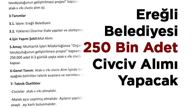 Ereğli Belediyesi Nisan Ayında 250 Bin Adet Civciv Dağıtacak