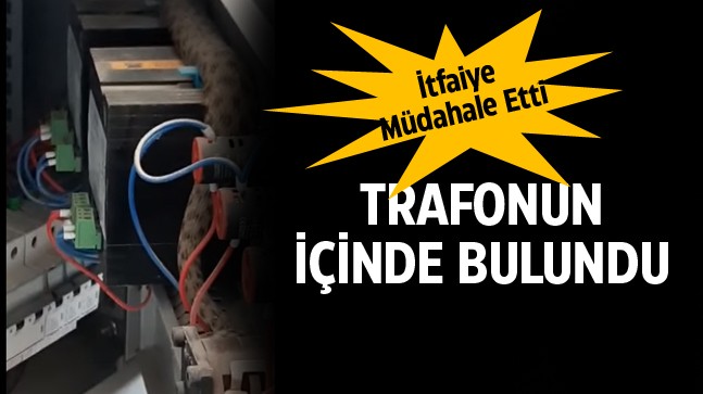 Sulama Yapmak İçin Trafoyu Açan Çiftçi Beklemediği Birşeyle Karşılaştı