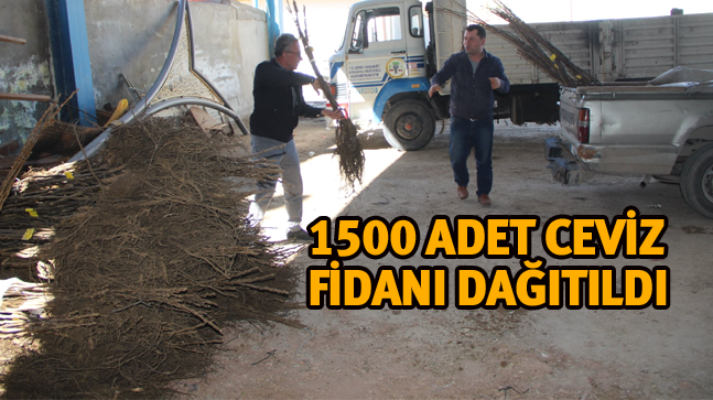 Halkapınar Belediyesinden Üreticilere Fidan Dağıtımı