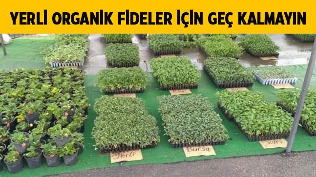 Bahçeler İçin Orijinal ve Garantili Fideler Sizleri Bekliyor