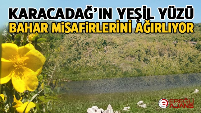 Yeşil ile İç İçe, Doğayla Başbaşa Zaman Geçirmek İsteyenler İçin Alternatif Bir Bölge