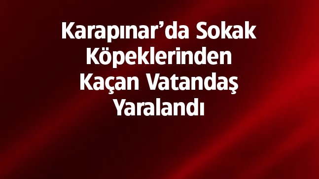 Sokak Köpeklerinden Kaçarken Düşerek Yaralandı