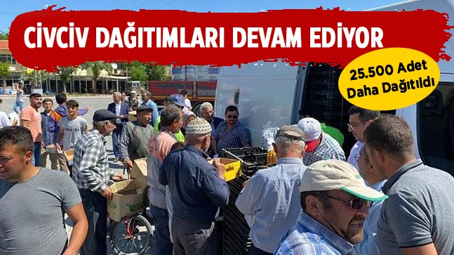 Yumurta Tavukçuluğunun Gelişmesi Projesinde 25 Bin Civciv Daha Dağıtıldı