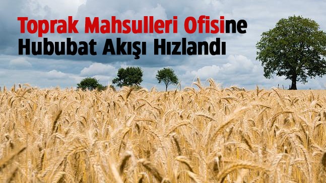 Güncellemeler ve Desteklemelerin Ardından TMO’ya Ürün Akışı Hızlandı