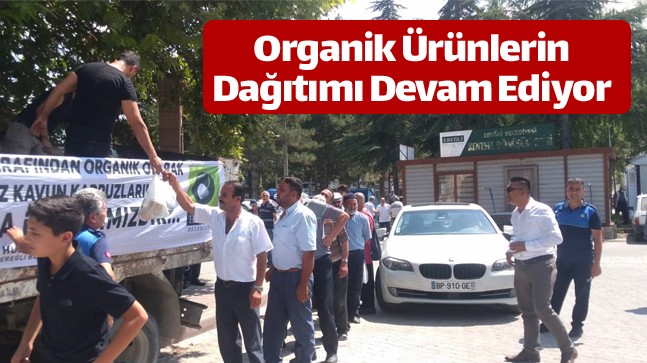 Ereğli Belediyesi, Organik Tarım Alanında Yetişen Ürünlerin Dağıtımına Fatih Parkı’nda Devam Etti