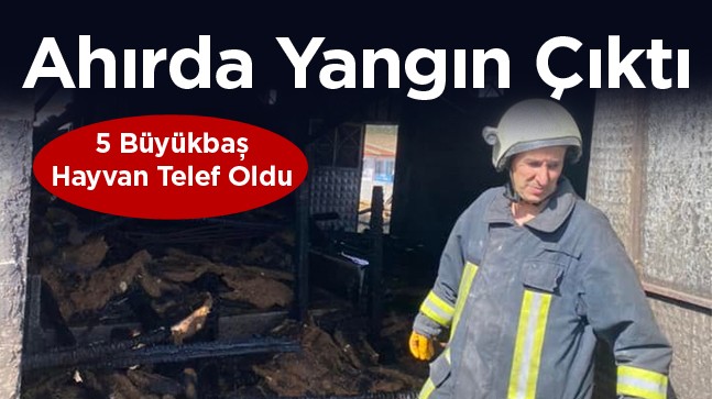 Küçükbaş Hayvan Ahırında Çıkan Yangın Komşu Ahıra Sıçradı. Zarar Büyük