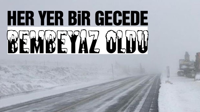 Ortalık Bir Gecede Beyaza Büründü. Ulaşımda Yer Yer Aksamalar Meydana Geldi