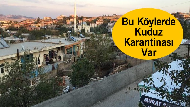 Kuduz vakalarının görüldüğü 3 köy karantinaya alındı.