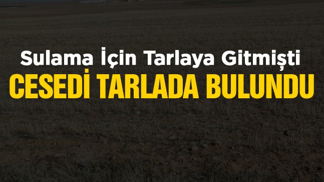 60 Yaşındaki Çiftçi Tarlasında Ölü Bulundu
