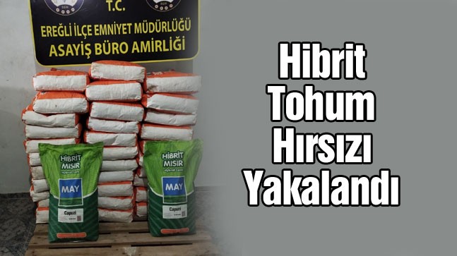 Mısır Tohumu Çalan Zanlı Tutuklandı