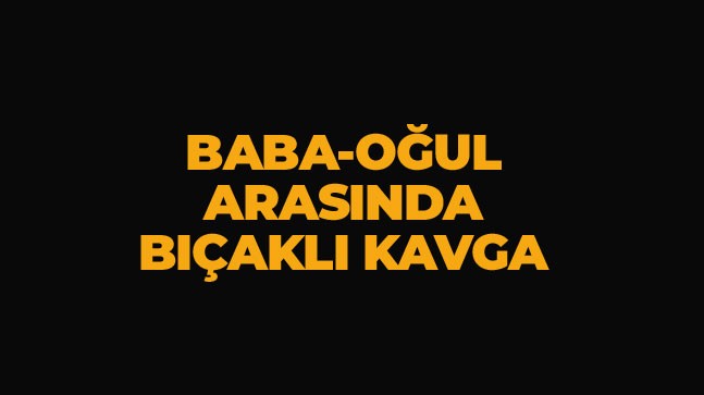 Baba İle Oğul Arasındaki Tartışma Kanlı Bitti