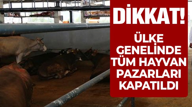 Türkiye Genelinde Tüm Hayvan Pazarları İkinci Emre Kadar Kapatıldı