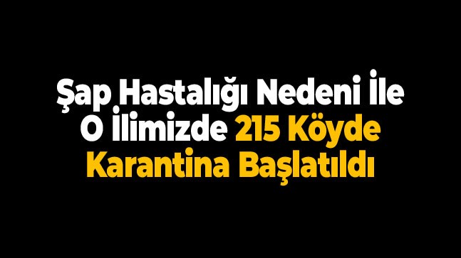 İl Genelinde 215 Köye Giriş Çıkışlar Kontrollü Olarak Sağlanıyor