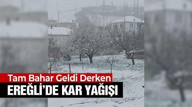 Ereğli’de Mart Kapıdan Baktırdı