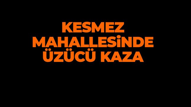 Kesmez Mahallesinde Üzücü Kaza: 78 Yaşındaki Babaanne Hayatını Kaybetti