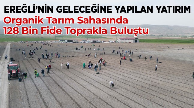 Organik Tarımda Hummalı Çalışma. Yüzlerce Personel İle 128 Bin Fide Toprakla Buluşturuldu