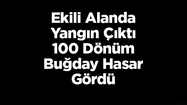 Edirne’de Buğday Ekili Alanda Yangın Çıktı