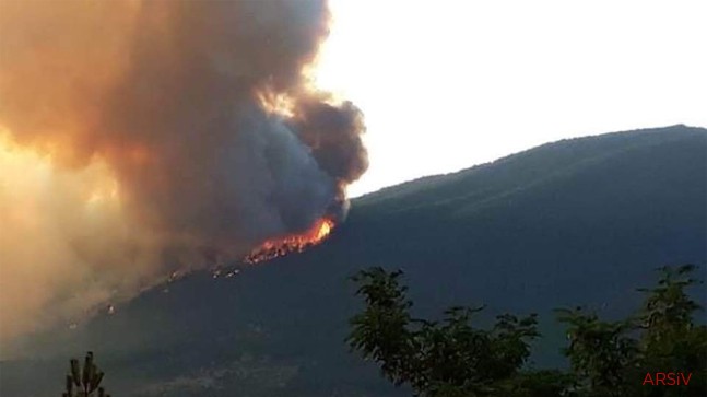 Marmaris’te Orman Yangını