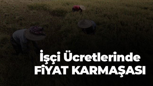 Tarım İşçileri Ücretlerinde Fiyat Karmaşası Sürüyor. Bir Taraf Yüksek Buluyor, Diğer Taraf Normal Buluyor