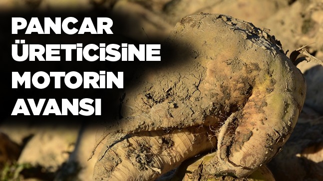 Pancar Üreticisine Motorin Avansı Ödemesi Yapılacak. Avanslar, Yarın Hesaplarda