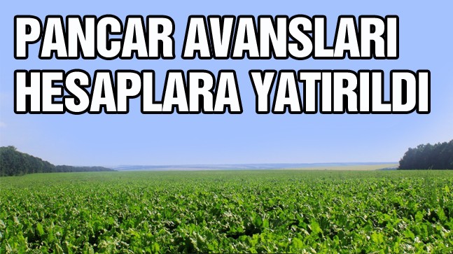 Pancar Üreticisinin Avansları Hesaplara Yattı